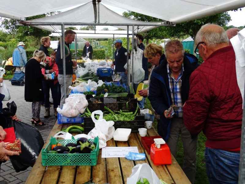 Open dag 2018