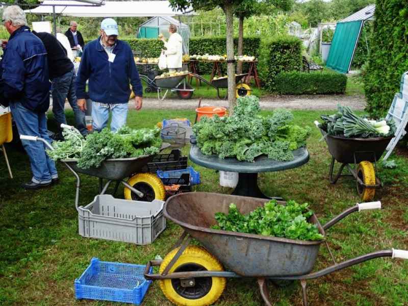 Open dag 2018