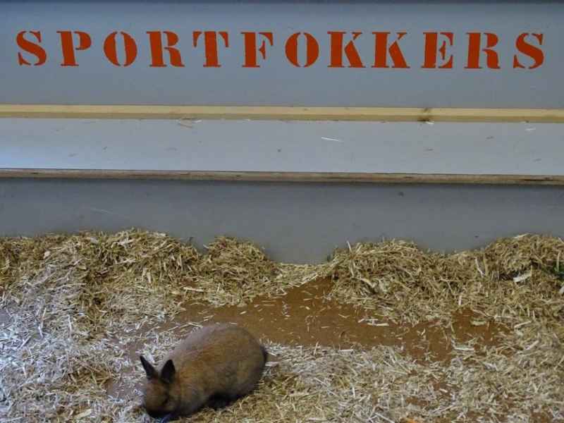 Open dag 2018