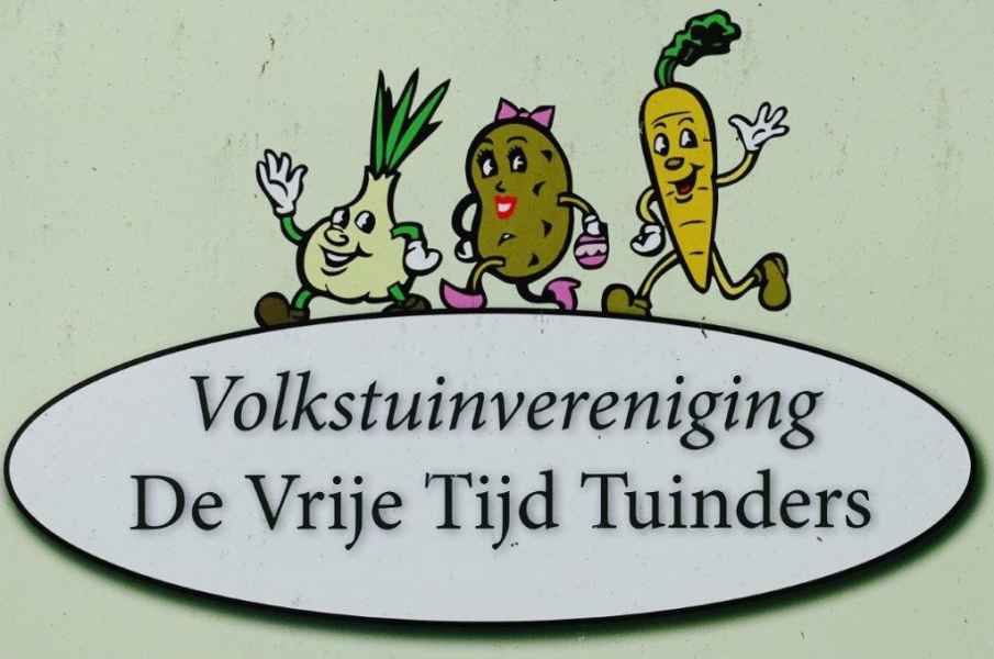Open dag 2019