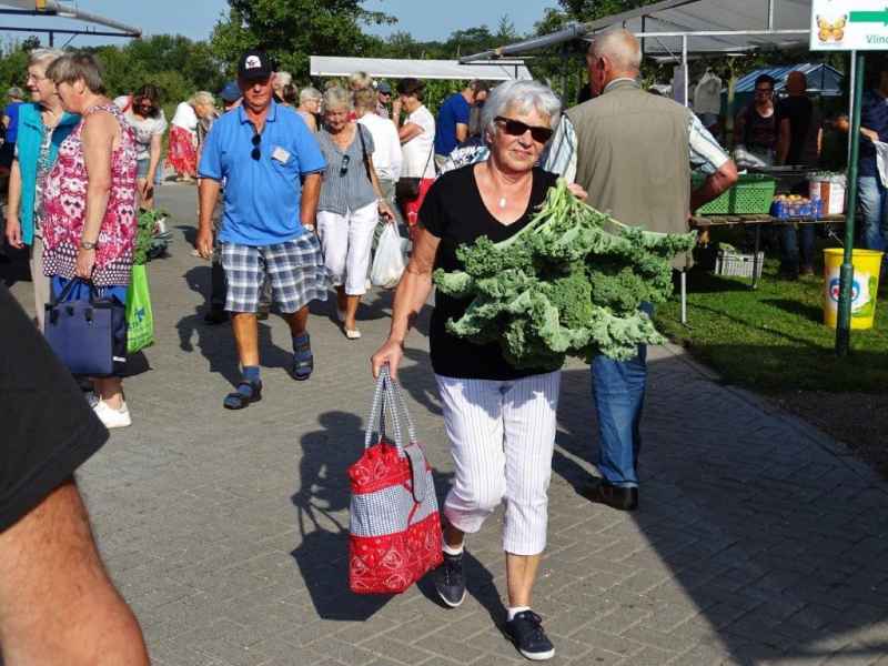 Open dag 2019