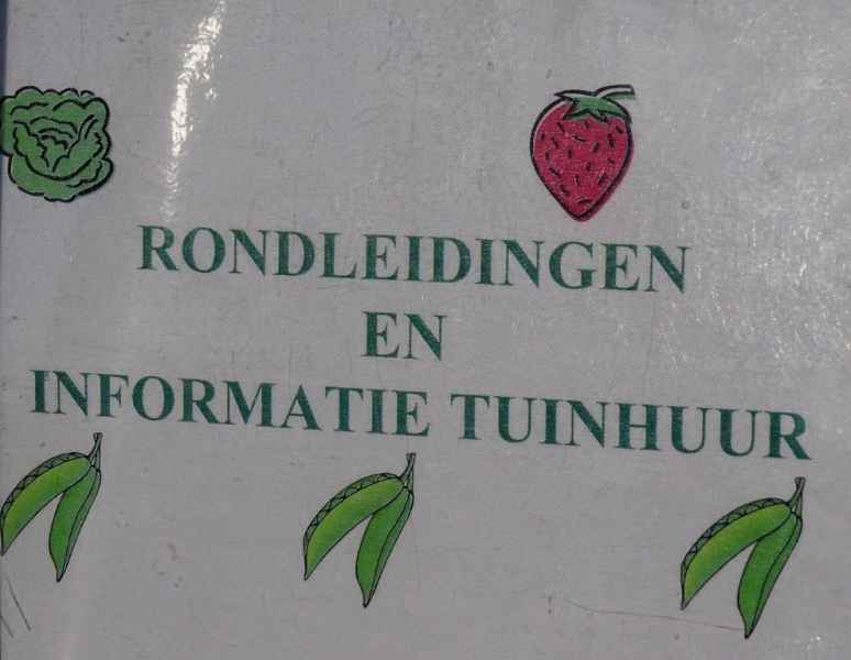 Open dag 2019