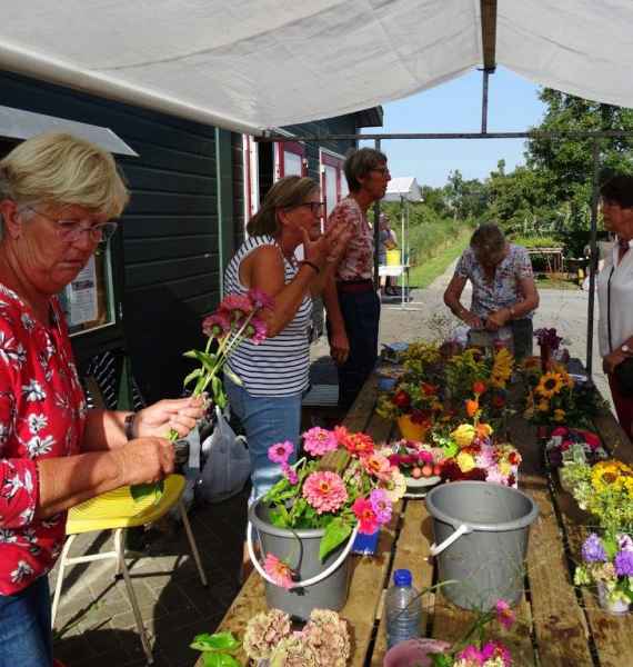 Open dag 2019
