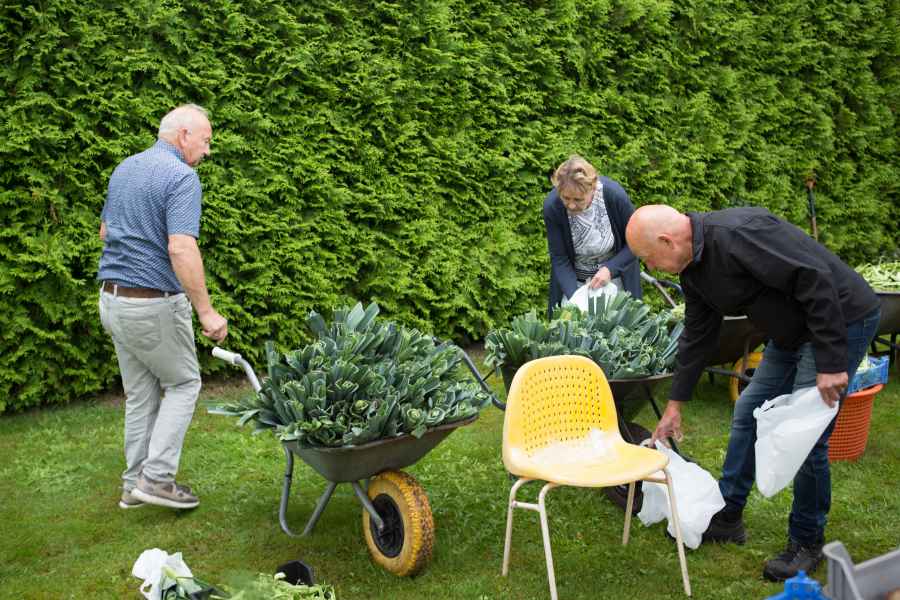 Open Dag 2021
