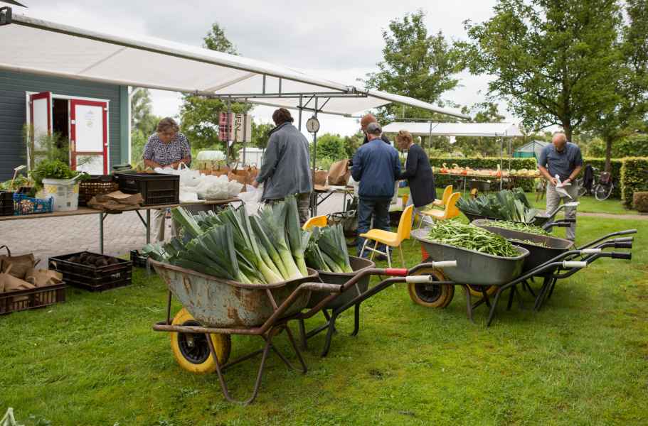 Open Dag 2021