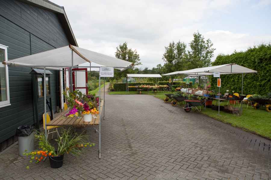 Open Dag 2021