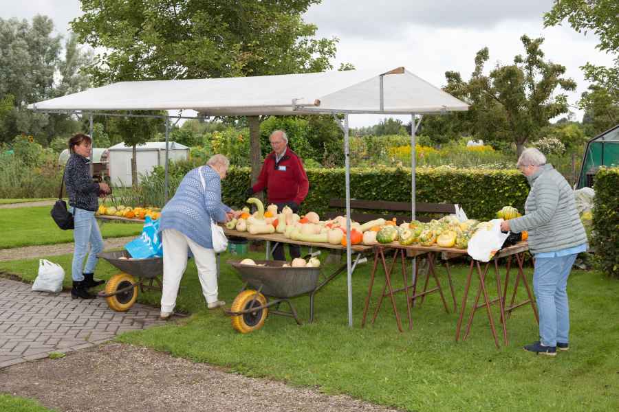 Open Dag 2021