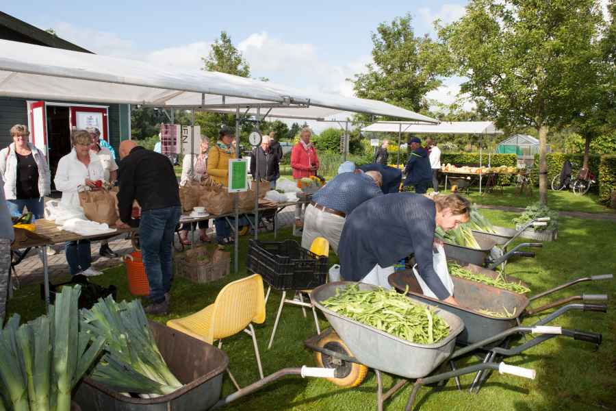 Open Dag 2021