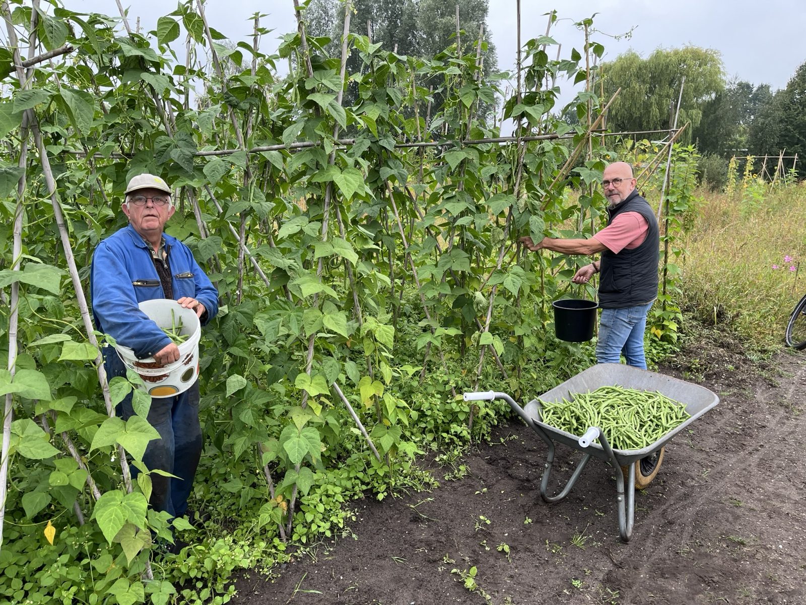 Open Dag 2026