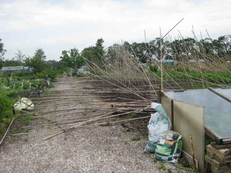 Stormschade 2019