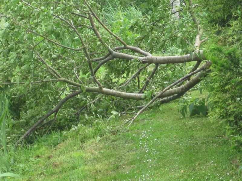 Stormschade 2019