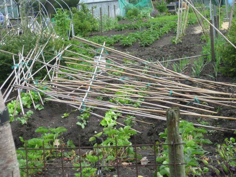 Stormschade 2019