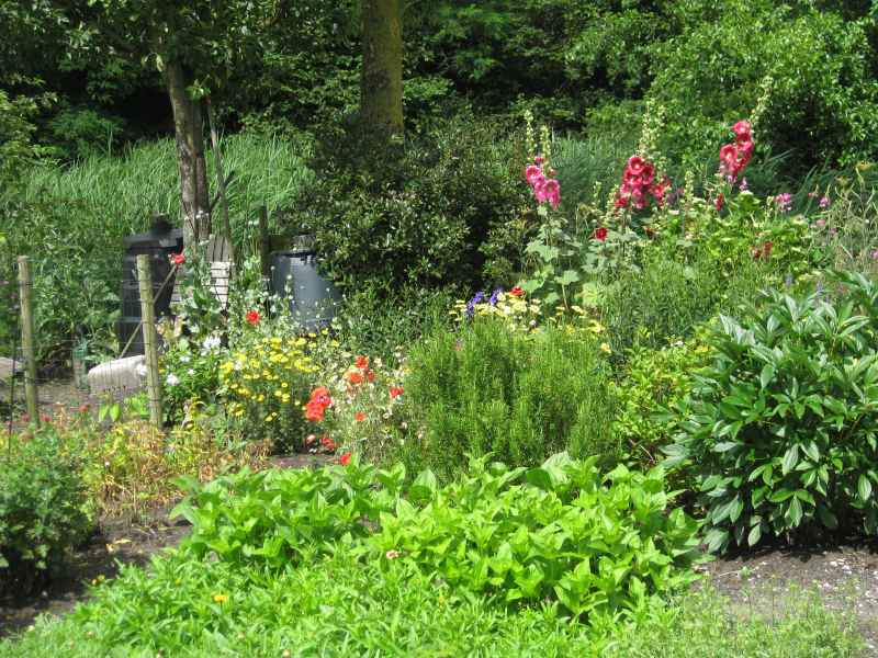 Tuin algemeen
