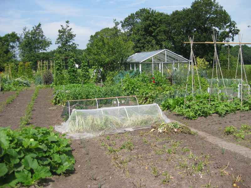 Tuin algemeen