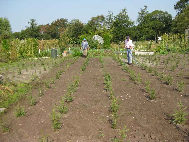 Tuin algemeen