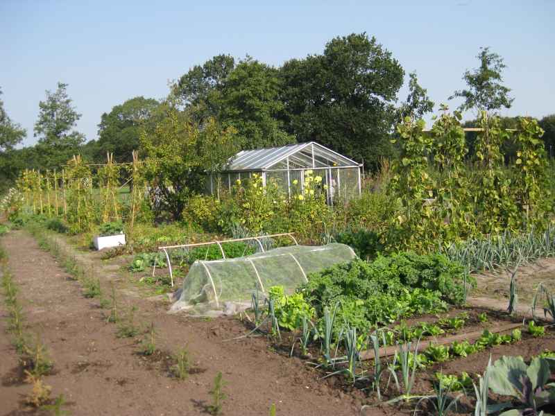 Tuin algemeen