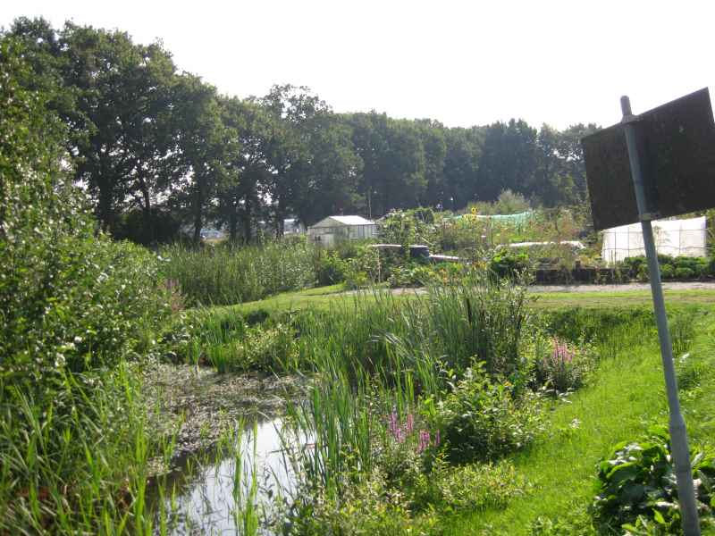 Tuin algemeen