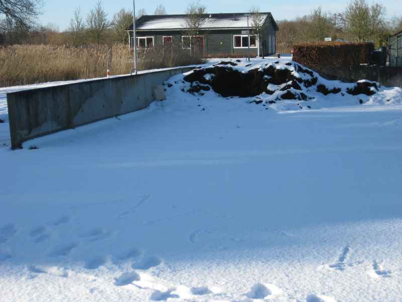 Winter 2024