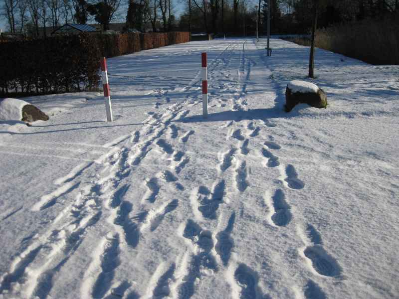 Winter 2024