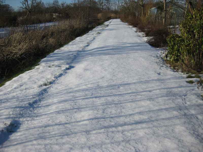 Winter 2024