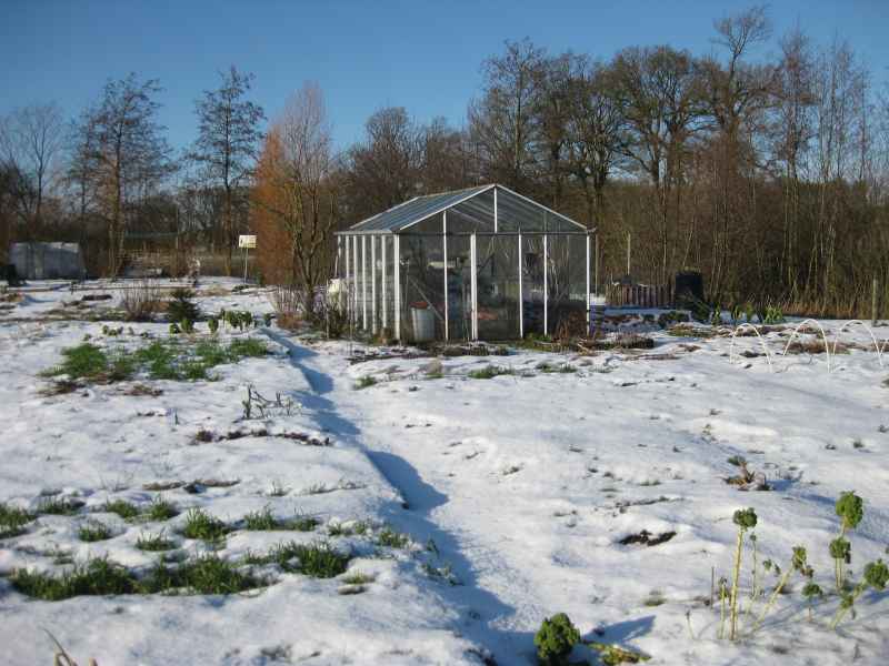 Winter 2024